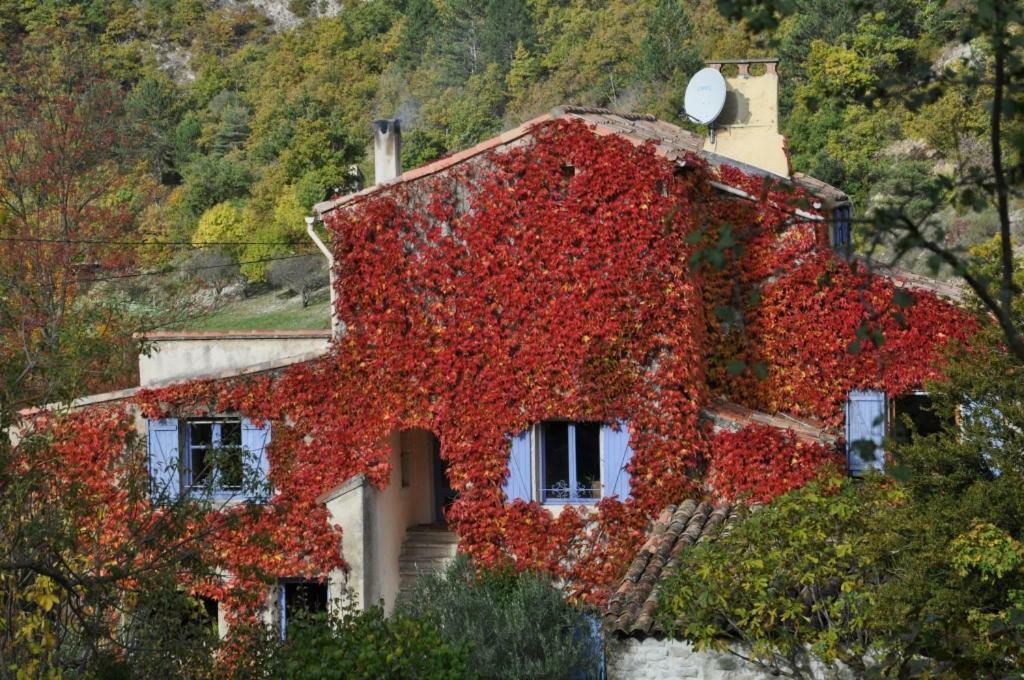 La Danse Des Papillons - Chambre D'Hotes & Glamping Roche-Saint-Secret Exterior foto
