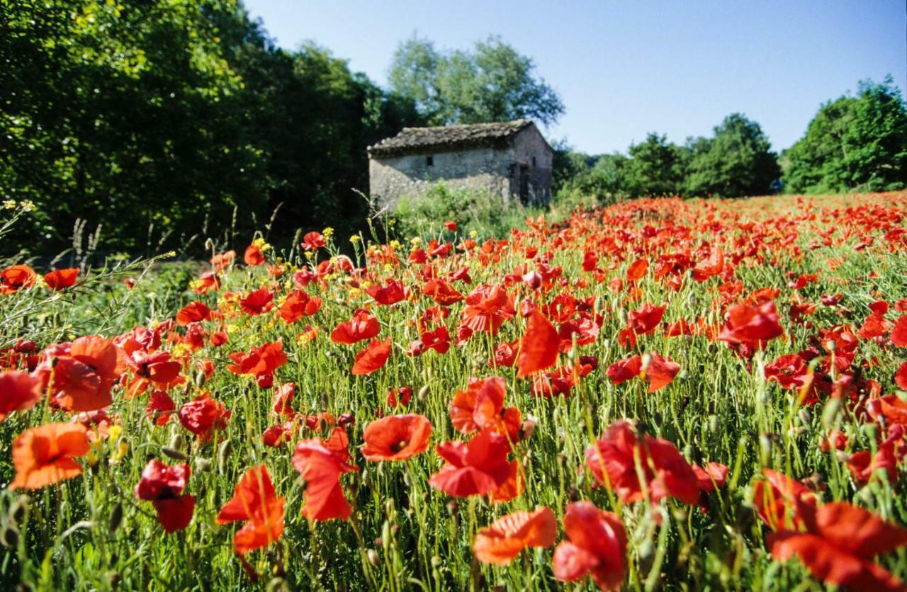 La Danse Des Papillons - Chambre D'Hotes & Glamping Roche-Saint-Secret Exterior foto