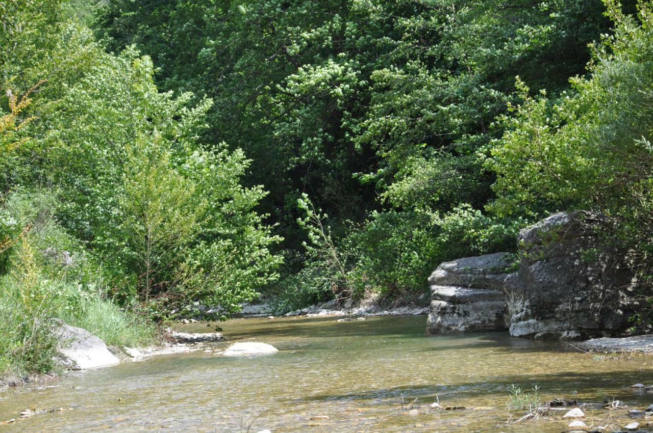 La Danse Des Papillons - Chambre D'Hotes & Glamping Roche-Saint-Secret Exterior foto